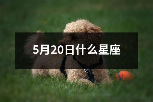 5月20日什么星座