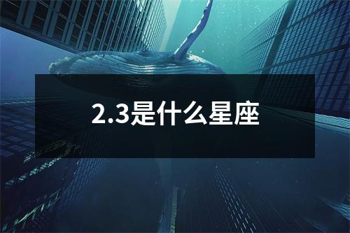 2.3是什么星座