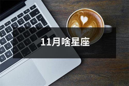 11月啥星座