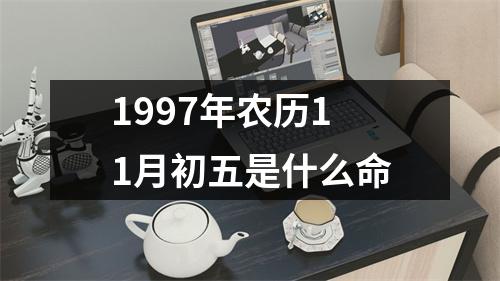 1997年农历11月初五是什么命