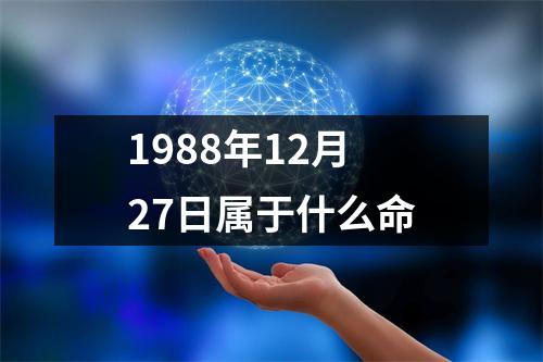 1988年12月27日属于什么命