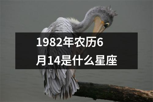 1982年农历6月14是什么星座