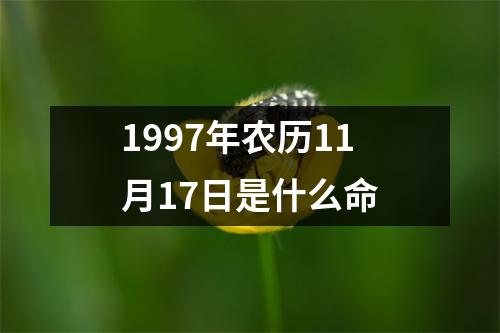 1997年农历11月17日是什么命