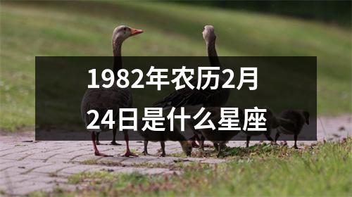 1982年农历2月24日是什么星座