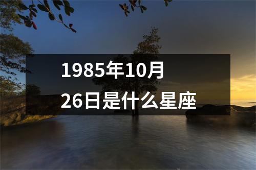 1985年10月26日是什么星座