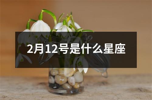 2月12号是什么星座