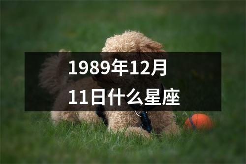 1989年12月11日什么星座