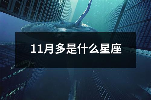 11月多是什么星座