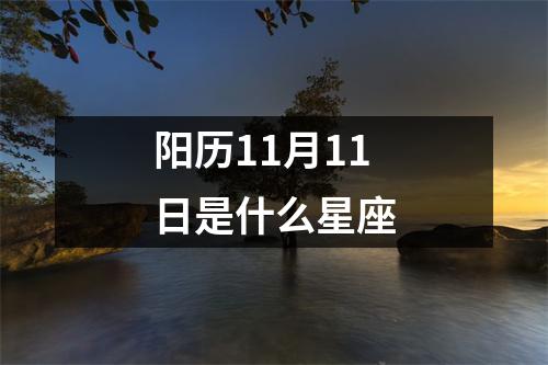 阳历11月11日是什么星座