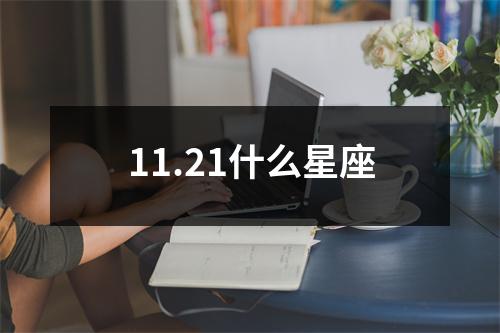 11.21什么星座