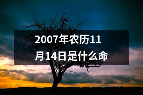 2007年农历11月14日是什么命