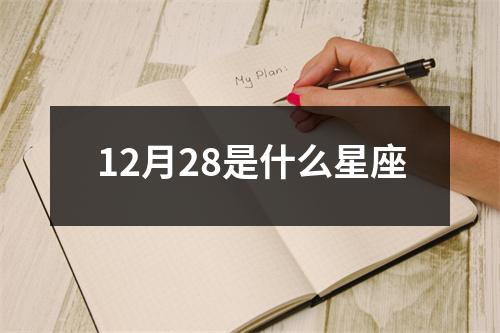 12月28是什么星座