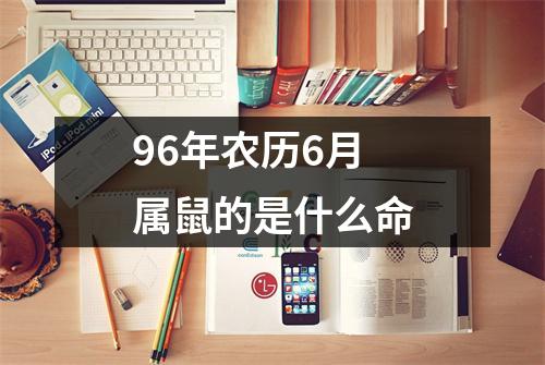 96年农历6月属鼠的是什么命