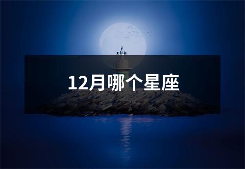 12月哪个星座