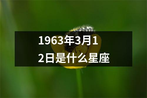 1963年3月12日是什么星座