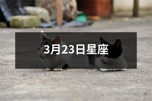 3月23日星座