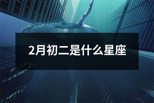 2月初二是什么星座