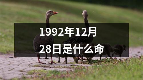 1992年12月28日是什么命