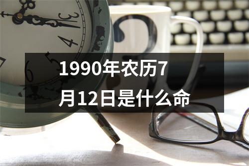 1990年农历7月12日是什么命