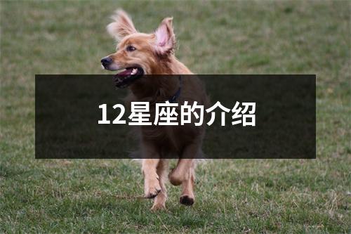 12星座的介绍