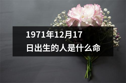 1971年12月17日出生的人是什么命