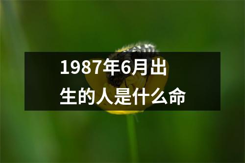 1987年6月出生的人是什么命