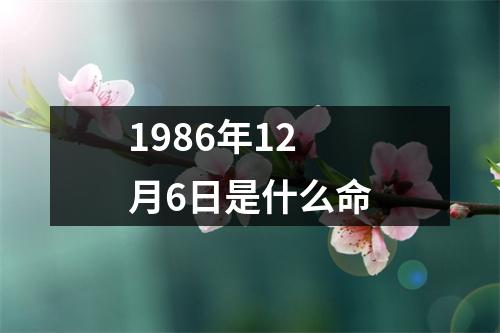 1986年12月6日是什么命