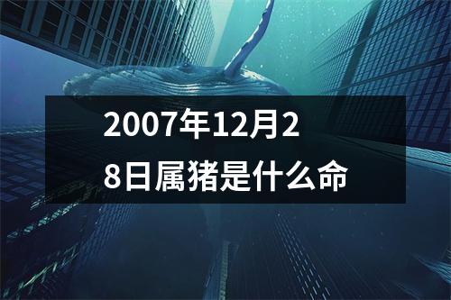 2007年12月28日属猪是什么命