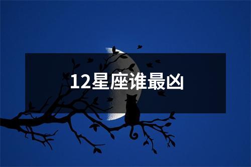 12星座谁凶