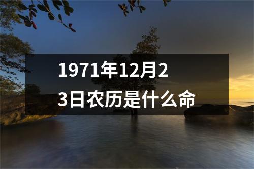 1971年12月23日农历是什么命