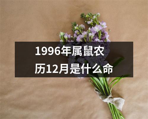 1996年属鼠农历12月是什么命