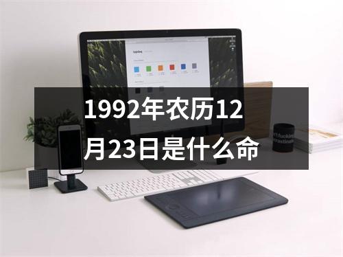 1992年农历12月23日是什么命