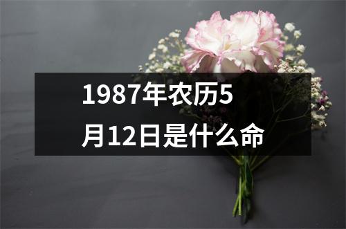 1987年农历5月12日是什么命