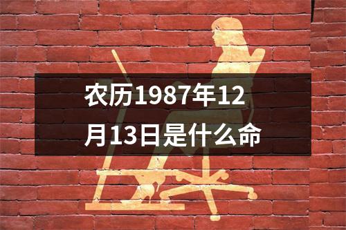 农历1987年12月13日是什么命