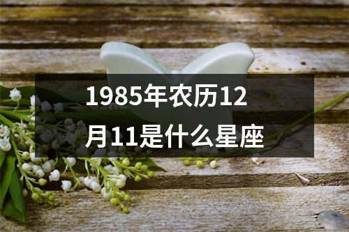 1985年农历12月11是什么星座