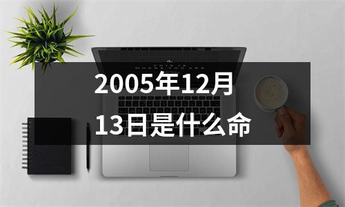 2005年12月13日是什么命