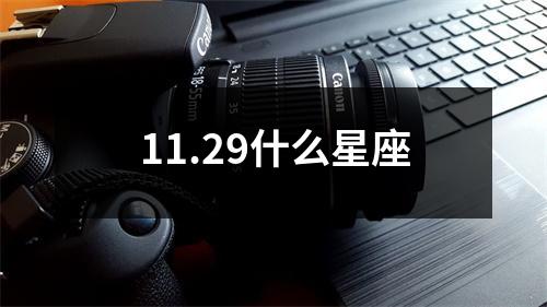 11.29什么星座