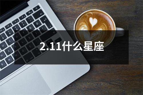 2.11什么星座