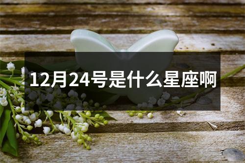 12月24号是什么星座啊