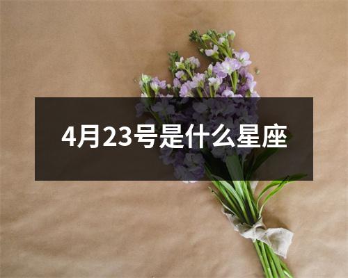 4月23号是什么星座