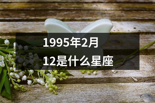 1995年2月12是什么星座