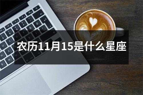 农历11月15是什么星座