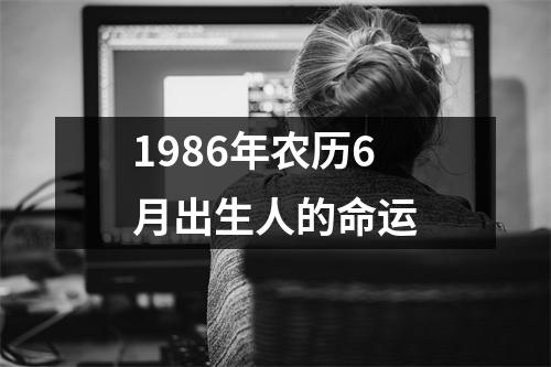 1986年农历6月出生人的命运