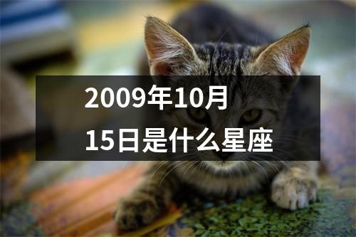 2009年10月15日是什么星座