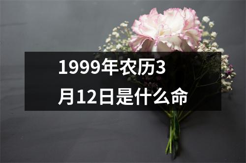 1999年农历3月12日是什么命