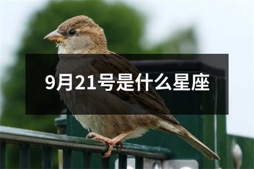 9月21号是什么星座