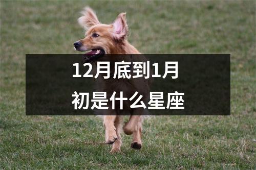 12月底到1月初是什么星座