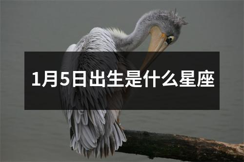 1月5日出生是什么星座