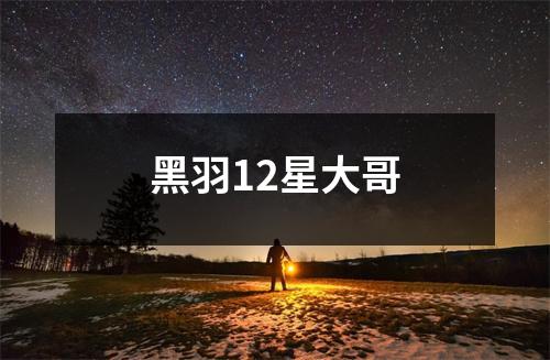 黑羽12星大哥