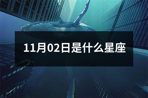 11月02日是什么星座